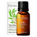 Gya Labs Pure Australian .. Tea Tree Oil for .. Skin Hair Face & .. Toenails (0.34 fl oz) .. - 100% Therapeutic Natural .. Melaleuca Tea Tree Essential .. Oil for Piercings Scalp .. & Hair Growth