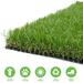 LITA Premium Artificial Grass 6 x 8 (48 Square Feet) Realistic Fake Grass Deluxe Turf Synthetic Turf Thick Lawn Pet Turf -Perfect for indoor/outdoor Landscape - Customized Sizes Available