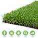 LITA Premium Artificial Grass 10 x 81 (810 Square Feet) Realistic Fake Grass Deluxe Turf Synthetic Turf Thick Lawn Pet Turf -Perfect for indoor/outdoor Landscape - Customized Sizes Available
