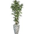 Artificial Faux Real Touch 7.08 Feet Tall Bamboo Tree With Natural Poles And Fiberstone Planter (VHX116233)