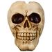Plant Decor Goth Skull Statue Sculpture Halloween Decortions Pot Planters for Indoor Plants Ashtray Nordic Resin
