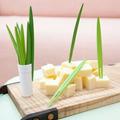 Creative Green Bamboo Leaf Fruit Fork Beautiful Fruit Fork Suitable For Weddings Festivals Birthdays Kitchens