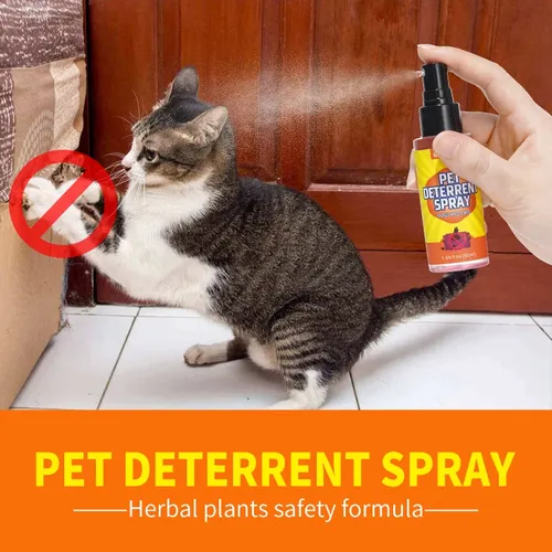 Katzen kratzer abschreckendes Spray natürliches Kratzen Trainings hilfe Spray keine Stimulation