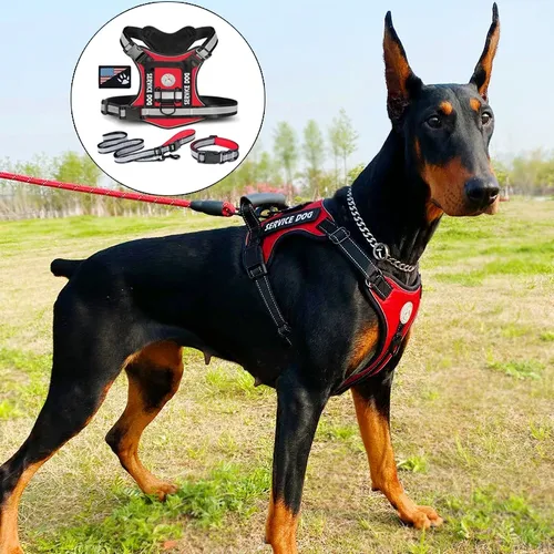 Dobermann Hunde geschirr Halsband Leine Set Walking Pet Weste Geschirre für mittelgroße Hunde