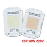 Neuer Typ LED Cob Chip Csp 50W LED-Lampe Hoch leistung 60*40mm LED-Lampen Lampe 220V LED-Matrix für
