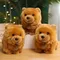 30 cm Kawaii Simulation Flauschigen Chow Chow Hund Plüsch Spielzeug Nette Lebensechte Welpen Haustier Gefüllte Puppe Beschwichtigen Baby Spielzeug Kinder geburtstag Geschenke