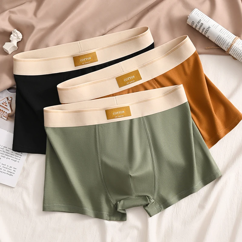 3 stücke Männer Unterwäsche Baumwolle BoxerShorts Hombre Höschen Mann Atmungsaktive Unterhose Sexy Sport Komfort Männliche Boxer Große Größe L-6XL Image
