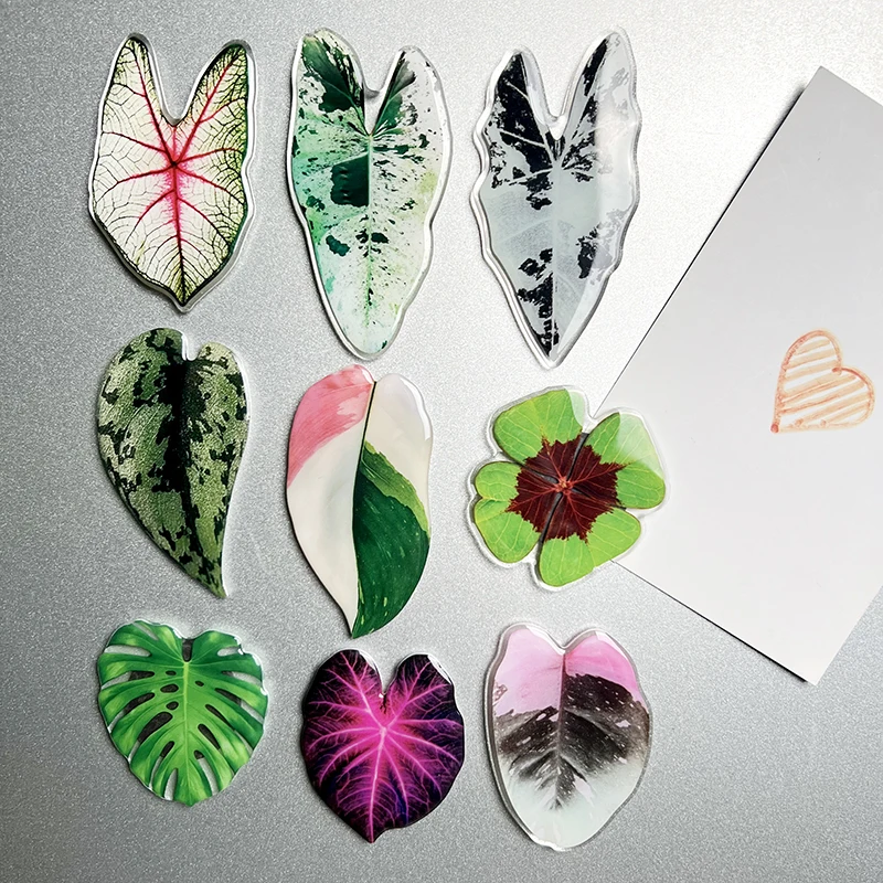9 Stück schöne Blatt grüne Pflanze Kühlschrankmagnet Küchendekoration schöne Fliesen Whiteboard Magnete Aufkleber