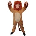 Childs Lion Jumpsuit Costume World Book Day Costume - Medium