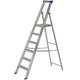 Werner 6 Tread MasterTrade Platform Stepladder - BS 2037 EN131 Professional Aluminium 7150618