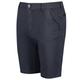 Regatta Men's Sandros Chino Shorts India Grey