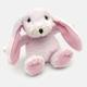 Mini Baby Pink Bunny Soft Toy, From Birth, Gift Boxed
