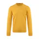Daniele Alessandrini, Sweatshirts & Hoodies, male, Yellow, S, Yellow Jumpers for Men