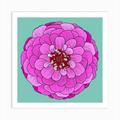 Dahlia in Bloom Art Print by Katie Cannon Designs