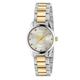 Gucci G-Timeless Stainless Steel and Gold PVD Ladies Watch