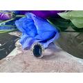 9Ct Yellow Gold Ring With Sapphire & Diamond Halo, Size N