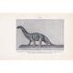 1934 CAMARASAURUS Print - Original Vintage Print - Dinosaur Wall Art - Camarasaurus Wall Art - Paleoart - 89 Years Old - 9.15 x 6 Inches