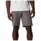 Columbia - Triple Canyon Short II - Shorts size 32 - Length: 10'', grey