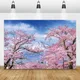Laeacco Pink Cherry Blossom Flowers Fuji Mountain Background Photography Tree Blue Sky Scenic