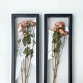 Transparent Shadow Box Frames Valentine's Day Rose Dried Flowers Storage Case Photo Frame Display