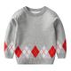 Kids Boys Sweater Animal Long Sleeve Crewneck School Adorable 2302 red Fall Clothes 3-7 Years