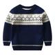 Kids Boys Sweater Animal Long Sleeve Crewneck School Adorable 2302 red Fall Clothes 3-7 Years