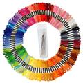 Premium Rainbow Color Embroidery Floss Cross Stitch Embroidery Thread Friendship Bracelets Floss Crafts Floss 100 Colors Skeins Per Pack 30Pcs Free Embroidery Needles and 2 Threader