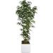 Artificial Faux Real Touch 78 Tall Natural Bamboo Tree And 14 Planter (VHX116211)