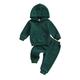 Canrulo Toddler Baby Boy Girl Fall Outfits Hoodie Long Sleeve Hooded Sweatshirt and Elastic Waist Long Pants 2Pcs Clothes Green 1-2 Years