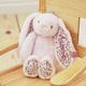 Personalised Easter Pale Pink Bunny Soft Toy