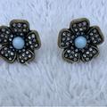 J. Crew Jewelry | J. Crew Factory Flower Earrings Blue Crystal Floral Studs | Color: Blue/Silver | Size: Os
