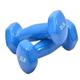 Dumbells Glossy Plastic Dipped Dumbbells For Men And Women Fitness Training Equipment Home Arm Lifting Arm Strength Dumbell Set (Color : Blue, Size : 10kg)