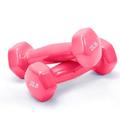 Dumbells Glossy Plastic Dipped Dumbbells For Men And Women Fitness Training Equipment Home Arm Lifting Arm Strength Dumbell Set (Color : Pink, Size : 0.5kg)