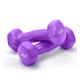 Dumbells Glossy Plastic Dipped Dumbbells For Men And Women Fitness Training Equipment Home Arm Lifting Arm Strength Dumbell Set (Color : Purple, Size : 10kg)