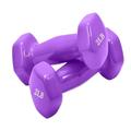 Dumbells Glossy Plastic Dipped Dumbbells For Men And Women Fitness Training Equipment Home Arm Lifting Arm Strength Dumbell Set (Color : Purple, Size : 1kg)