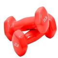 Dumbells Glossy Plastic Dipped Dumbbells For Men And Women Fitness Training Equipment Home Arm Lifting Arm Strength Dumbell Set (Color : Red, Size : 0.5kg)