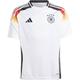 ADIDAS Kinder Trikot DFB 24 Kids Heim, Größe 128 in Weiß