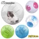 10/12cm Hamster Sport Ball Grounder Rat Small Pet Rodent Mice Jogging Running Hamster Gerbil