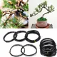 1/1.5/2/2.5/3/3.5x5m Black Bonsai Wire Anodized Aluminum Bonsai Training Wire For Plant Shapes
