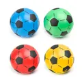 Ballons plage Football gonflables ballon d'entraînement pour enfants balles terrain jeu Football