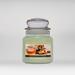 A Cheerful Candle LLC Pistachio and Honey Cheerful 16-Ounce Jar Candle, Metal | 16 oz,5.5" L x 4" W | Wayfair CS200
