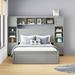Red Barrel Studio® Jonisha Bookcase Bed Wood in Brown/Gray/Green | 62.6 H x 86.2 W x 89.6 D in | Wayfair 156B0C34CC55431A9D282EBD9D1B9DA4