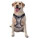 Coaee Purple Floral Gingham Check Plaid Dog Harness&Pet Leash Harness Adjustable Dog Vest Harness For Training Hunting Walking Outdoor Walking- Small