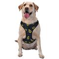 Coaee Avocado Dog Harness&Pet Leash Harness Adjustable Dog Vest Harness For Training Hunting Walking Outdoor Walking- Small