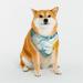 Kll Daisy Flowers Dog Bandanas Triangle Reversible Pet Scarf For Small Medium Large And Extra Large Dogs-Medium