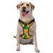 Coaee Orange Dog Harness&Pet Leash Harness Adjustable Dog Vest Harness For Training Hunting Walking Outdoor Walking- Medium