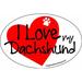 Imagine This 4-Inch by 6-Inch Car Magnet Heart Oval Dachshund