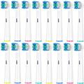 Replacement Toothbrush Heads, Toothbrush Heads