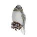 Bird (Set of 12) 5.75 H Foam/Sisal