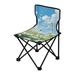 Daisy Flowers with Sky Portable Camping Chair Outdoor Folding Beach Chair Fishing Chair Lawn Chair with Carry Bag Support to 220LBS